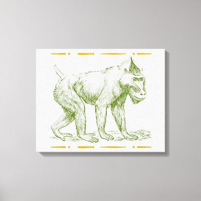 Mandrill Monkey Leinwanddruck (Vorderseite)