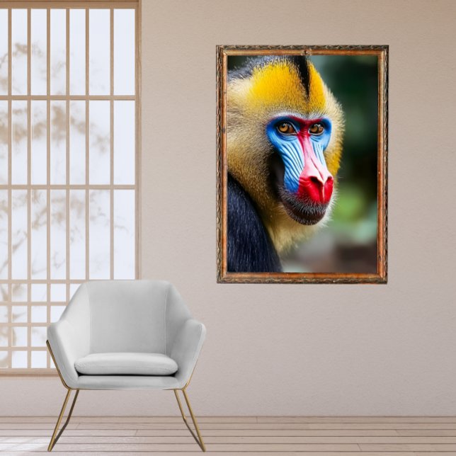 Mandrill Poster (Von Creator hochgeladen)