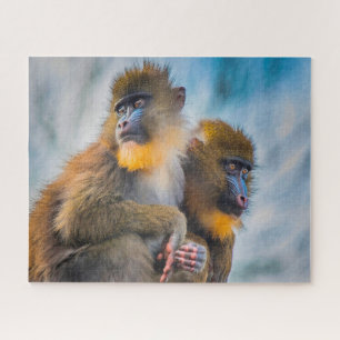 Mandrill Singes. Jigsaw Puzzle