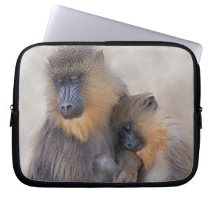 Mandrill und Young Laptop Sleeve