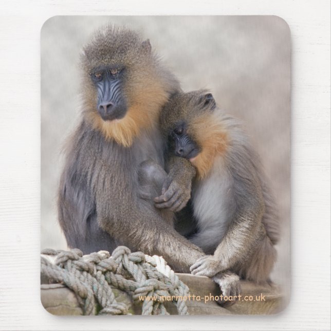 Mandrill und Young Mousemat Mousepad (Vorne)