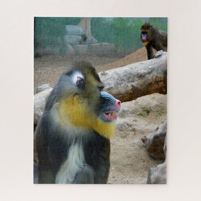 Mandrills (Vertikal)