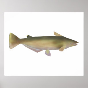 Manduba Poster