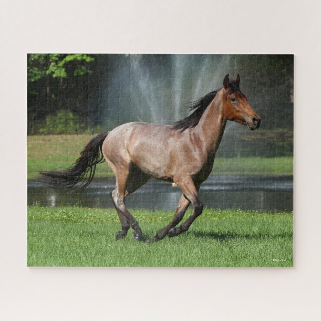 Mangalarga läuft vor dem Brunnen (Horizontal)