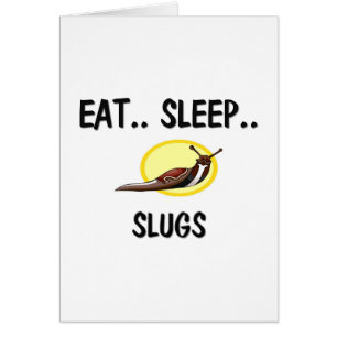 Mangez les LINGOTS de sommeil