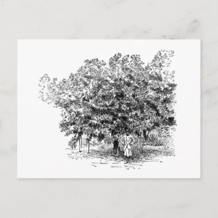 Mango Farmer (Fußballspieler) Postkarte