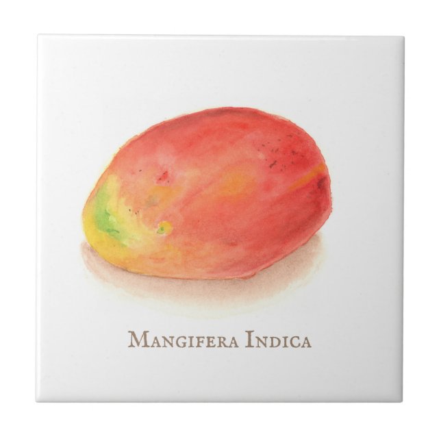 Mango! Fliese (Vorderseite)