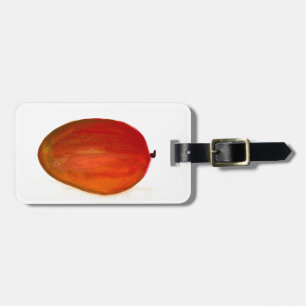 Mango Frucht Aquarell Sommer tropische Lebensmitte Gepäckanhänger