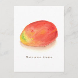 Mango! Postkarte