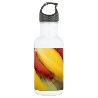 Mango-Reis-Sushi-Essensplatte-Mahlzeit-Küche Edelstahlflasche