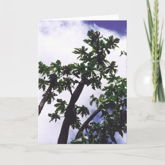 Mango Tree Karte (Vorderseite)