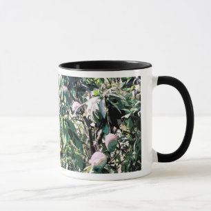 Mangobaum Tasse