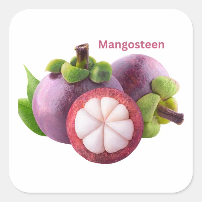Mangosteen Fruchtaufkleber Quadratischer Aufkleber (Vorderseite)