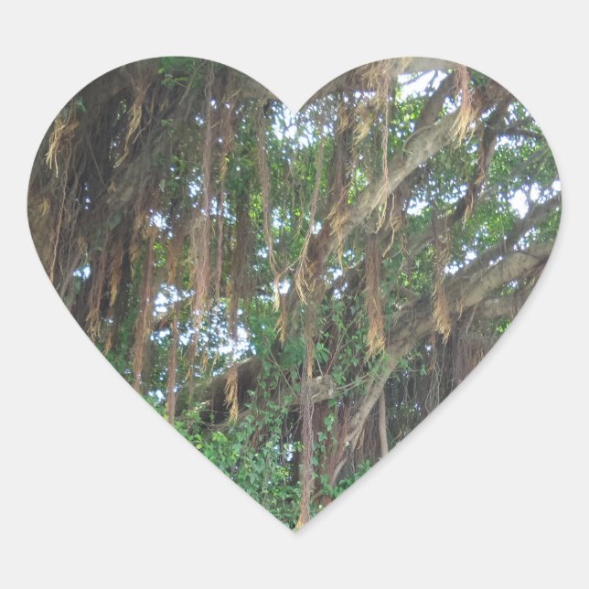 Mangrov Trees Heart Sticker (Vorderseite)