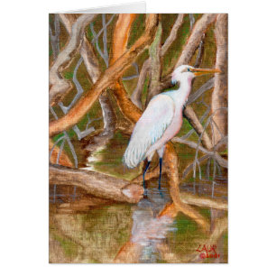 Mangrove Egret Nr. 2