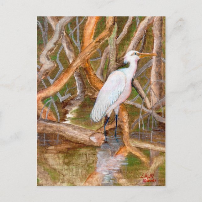 Mangrove Egret Nr. 2 Postkarte (Vorderseite)