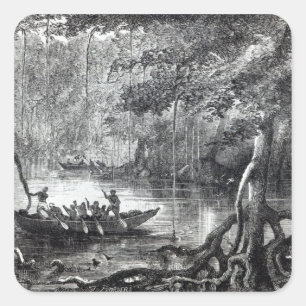 Mangrove Forest' Quadratischer Aufkleber