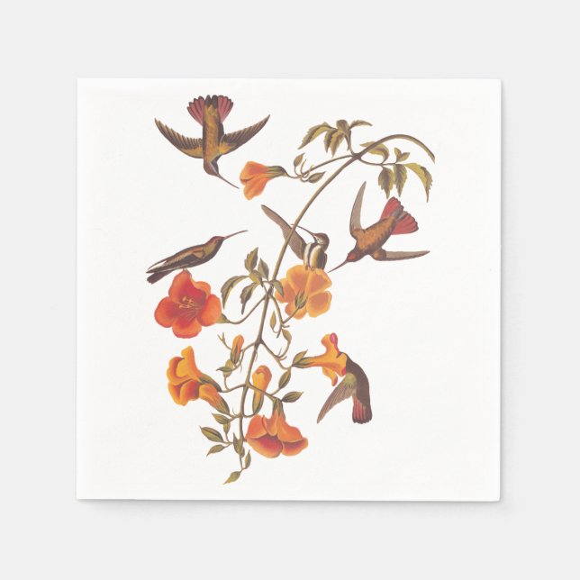 Mangrove Hummingbird mit orangen Blume Serviette (Vorderseite)