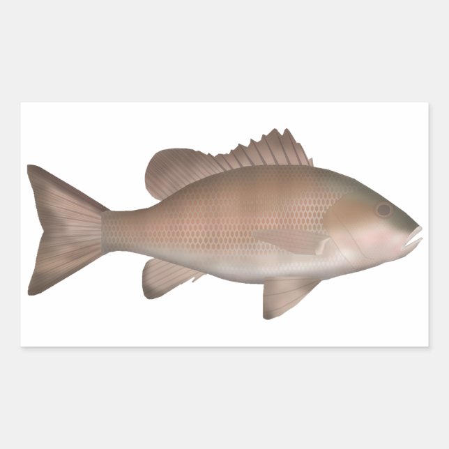 Mangrove-Jack Rechteckiger Aufkleber (Vorderseite)