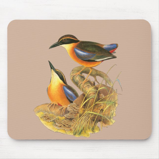 Mangrove Pitta Mousepad (Vorne)