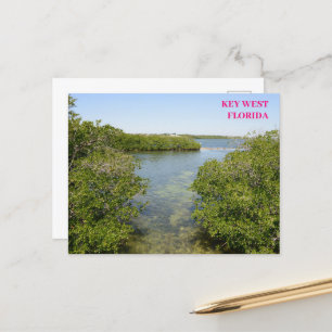 Mangroven Blue Ocean Waterway Key West Florida Postkarte