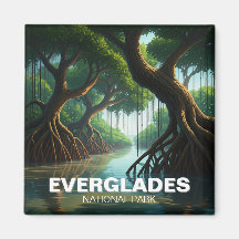 Mangroves Everglades Nationalpark Florida