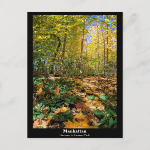 Manhattan, Herbst im Central Park Postcard Postkarte