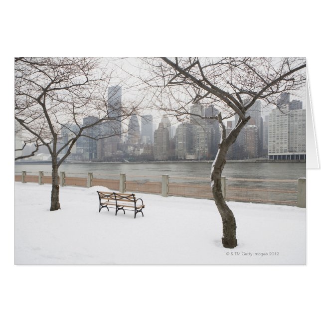 Manhattan im Winter (Vorderseite (Horizontal))