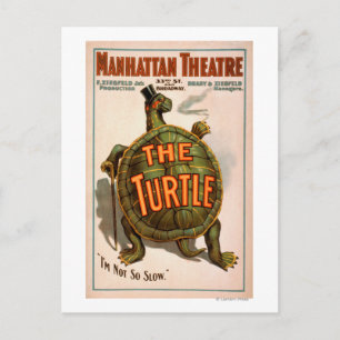 Manhattan Theater New York Broadway Die Schildkröt Postkarte