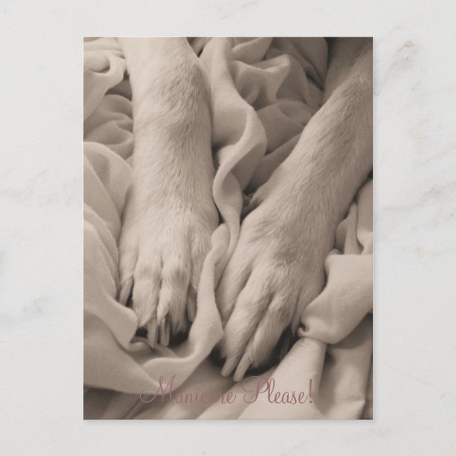 Maniküre Bitte ~ Postkarte (Vorderseite)