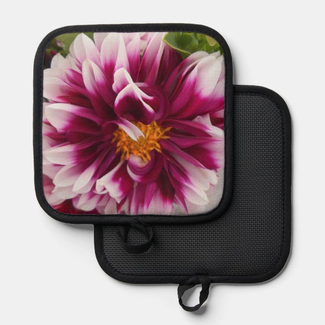 Manique Cartheuserine (Recto/Verso)