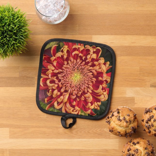 Manique Chrysanthème rouge et jaune Floral (De haut en bas)