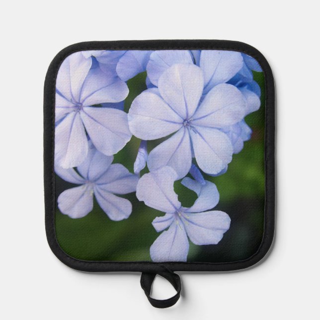 Manique Fondue florale bleue (Recto)