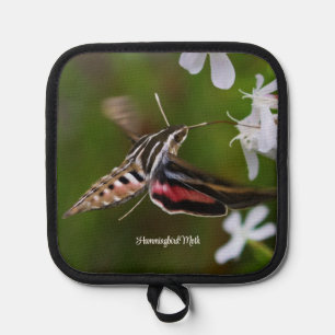 Manique Mois des colibris