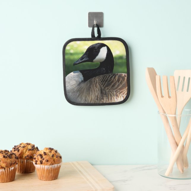 Manique Photo de la faune de Canada Goose (In situ (suspendu))
