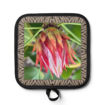 Porte-pot avec Protea étonnant