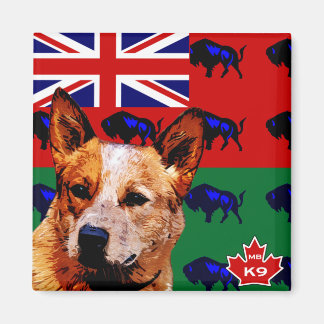 Manitoba Australischer Rinderhund Magnet