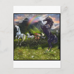 Mann aus dem Snowy River Postkarte
