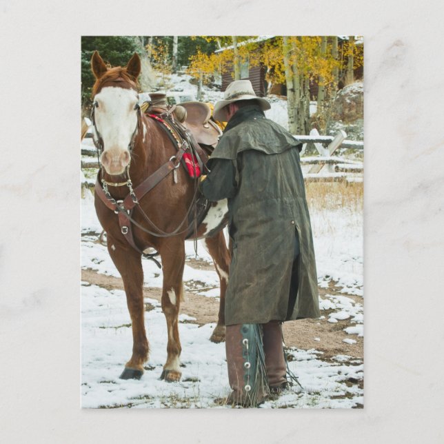 Mann, der auf dem Pferd Sattel legt Postkarte (Vorderseite)