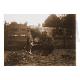 Mann Milchkühe in Barnyard & Fütternd Katze