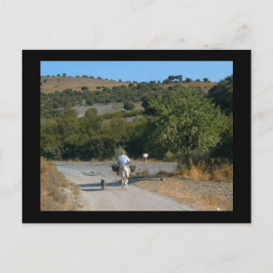 Mann mit landschaftlicher Esel-Postkarte Postkarte
