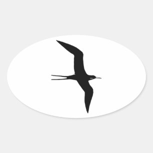 Mann O Krieg (ausgezeichnetes frigatebird) Ovaler Aufkleber