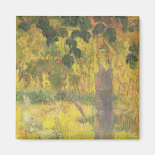 Mann-Sammeln-Frucht Paul Gauguins   von einem Magnet