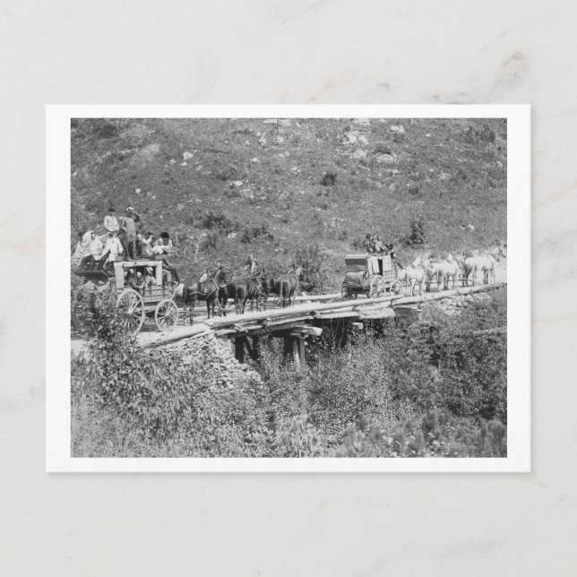 Männer auf Wagenwelle und Hetze für Fotografen Postkarte (Vorderseite)