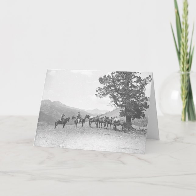 Männer mit den Packhorses, die über einem Hügel Karte (Vorderseite)