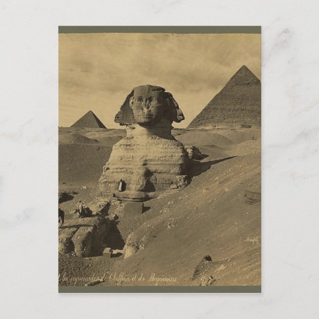 Männer und Kamele auf der Pfote der Sphinx, Pyrami Postkarte (Vorderseite)
