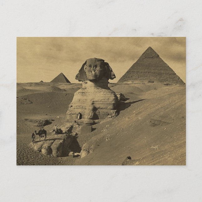 Männer und Kamele auf der Tatze der Sphinxes, Postkarte (Vorderseite)
