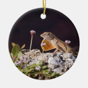 Männlich Brown Anole Lizard zeigt Trübung Keramik Ornament