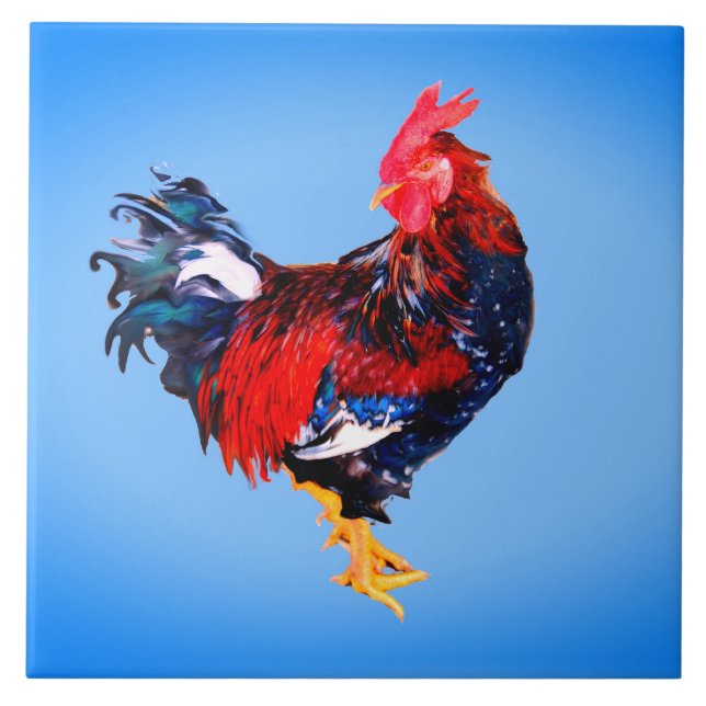 männlich Gallinacus, Hahn Fliese (Vorderseite)
