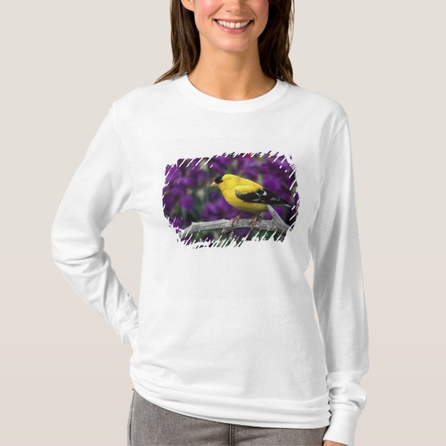 Männlich, Goldfinch im Sommer, T-Shirt (Vorderseite)